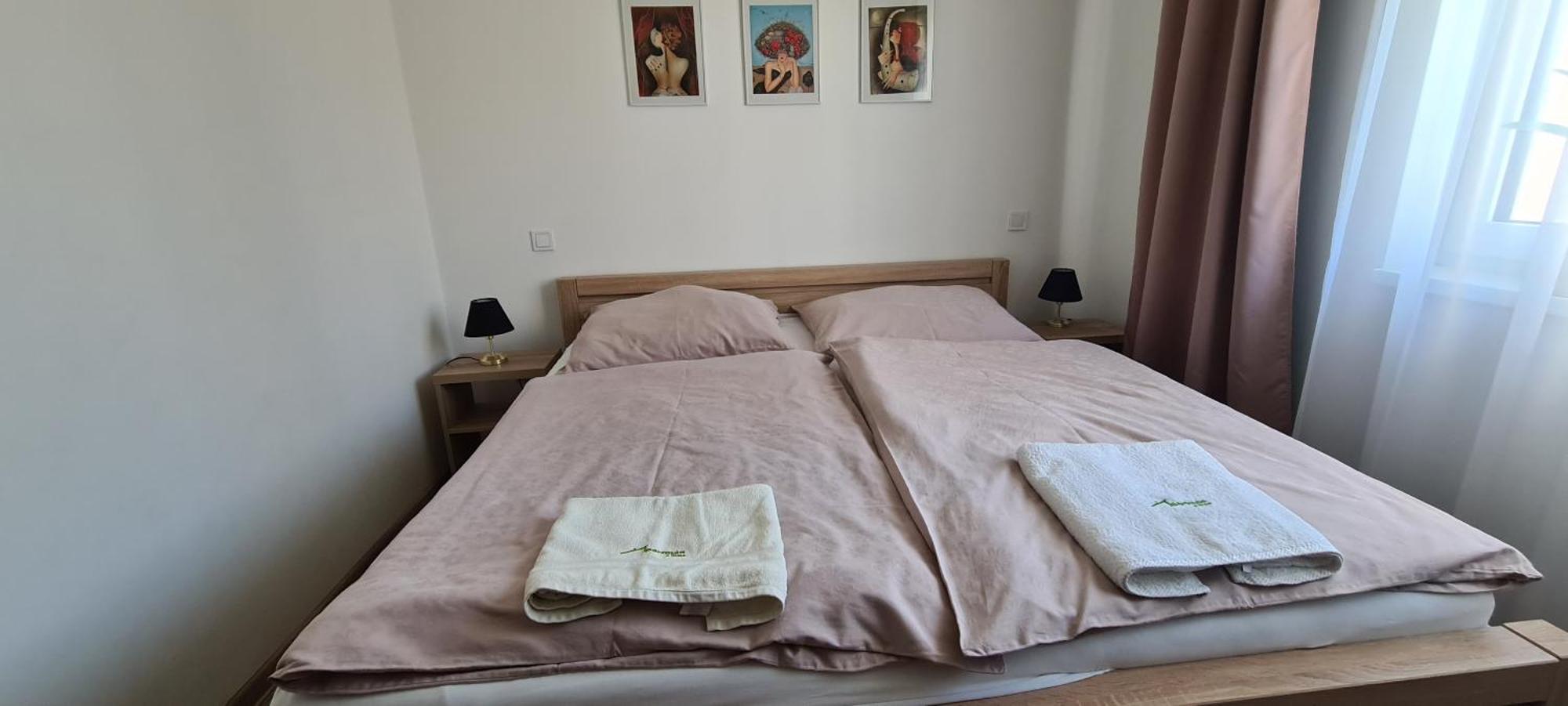 Apartman U Toma Frýdlant nad Ostravicí Zewnętrze zdjęcie