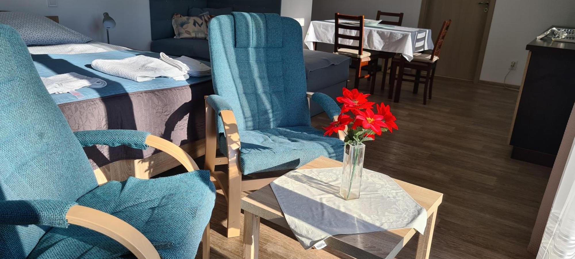 Apartman U Toma Frýdlant nad Ostravicí Zewnętrze zdjęcie